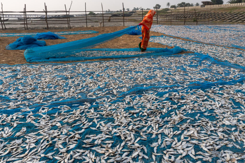la pêche et l'aquaculture